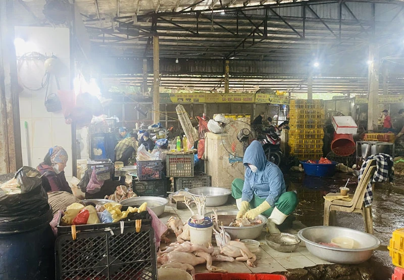 Tăng cường quản lý giết mổ gia súc, gia cầm