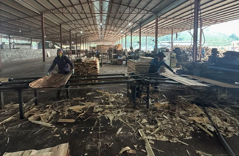 Như Xuân chú trọng phát triển doanh nghiệp