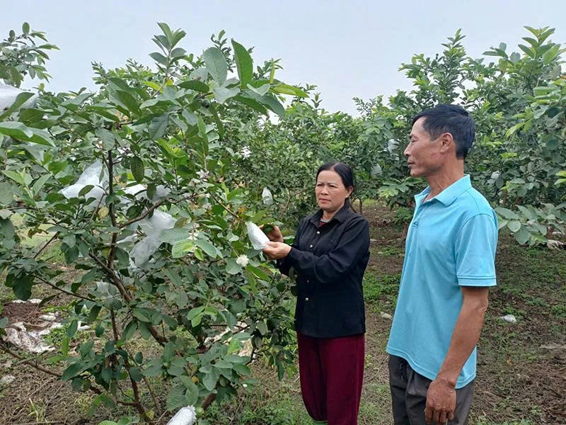 Nâng cao tiêu chí thu nhập cho người dân