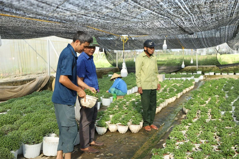 Gỡ vướng để tập trung đất đai, phát triển nông nghiệp ở Hoằng Giang