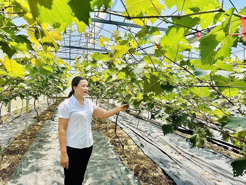 Động lực giúp kinh tế địa phương phát triển bền vững
