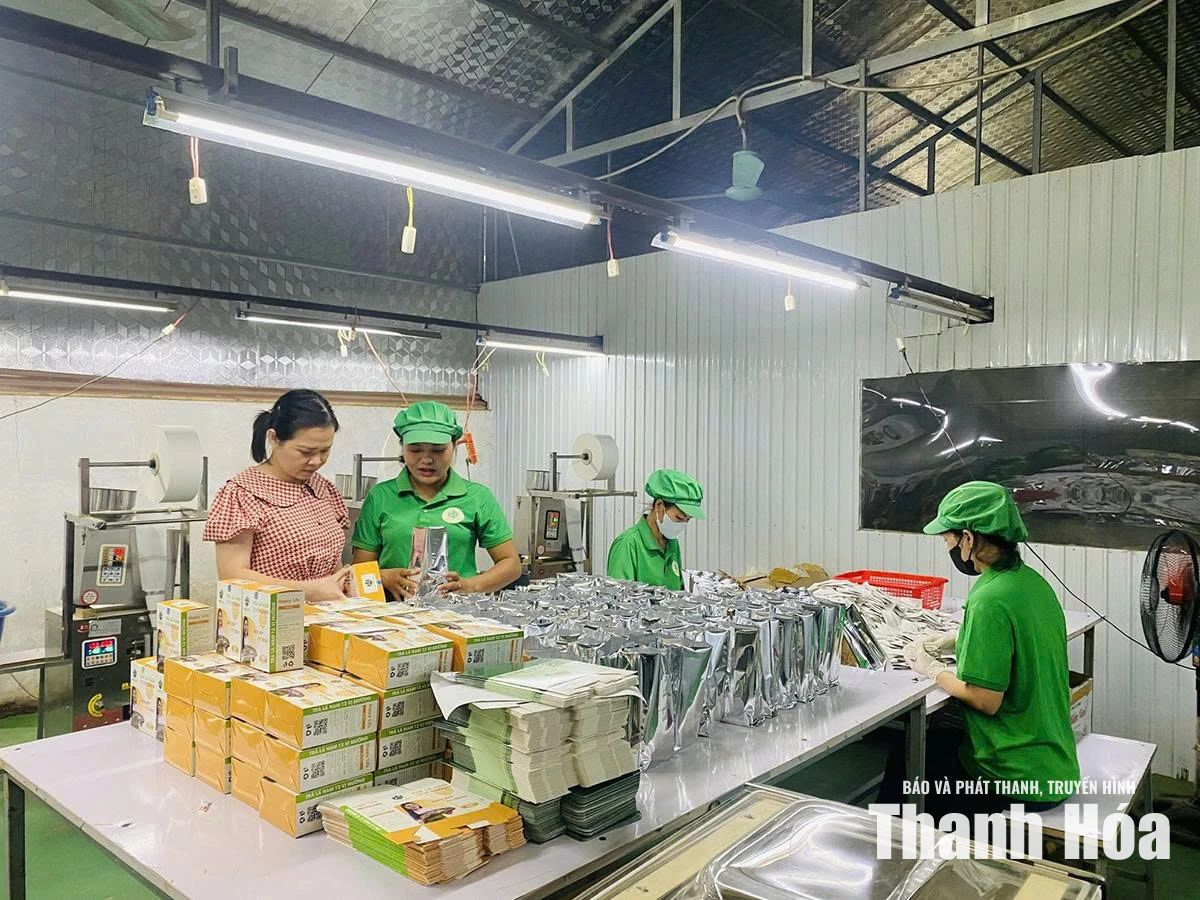 Xây dựng sản phẩm OCOP để thúc đẩy kinh tế tập thể