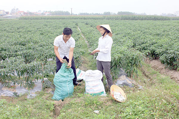 Đảng bộ huyện Yên Định quan tâm phát triển đảng viên