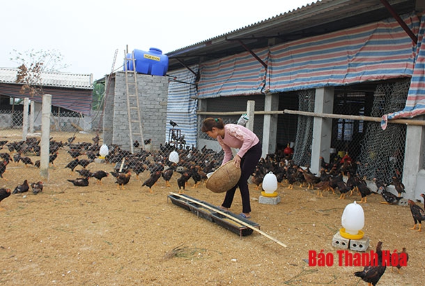 Huy động các nguồn vốn giúp hội viên phát triển sản xuất