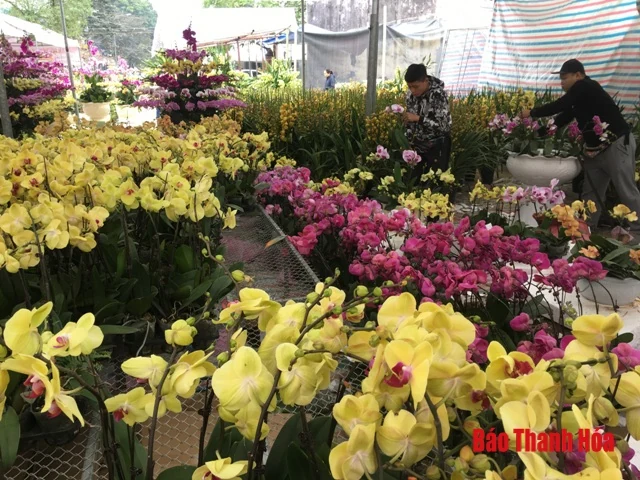 Những ngày giáp Tết Nguyên đán: Sôi động thị trường hàng hóa 