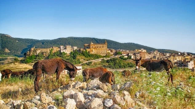 Mua nhà trên bờ biển thuộc hòn đảo Sicily với giá chỉ 1 euro