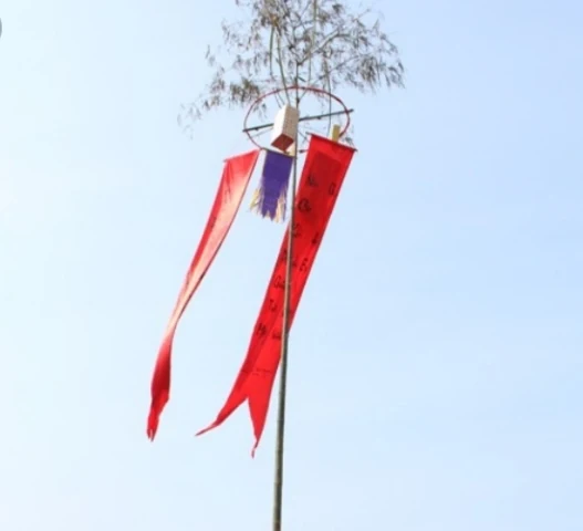 Cây Nêu trong Tết Việt