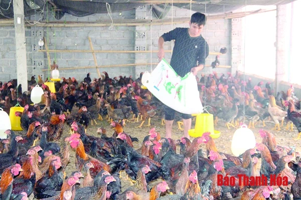 Thực hiện các giải pháp tăng trưởng ngành nông nghiệp