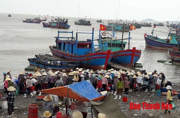 Đón tết trên biển