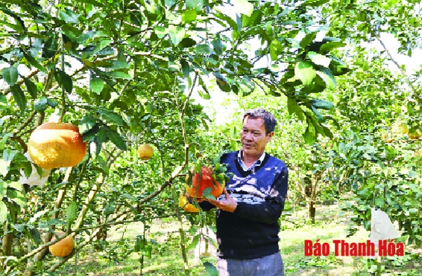 Đồng bào công giáo tỉnh Thanh “kính Chúa, yêu nước”