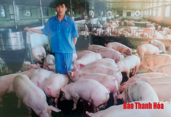 Phân bổ 1.160 kít thử chất cấm trong chăn nuôi cho các địa phương