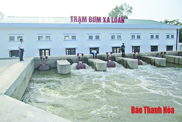 Chủ động khắc phục tình trạng xâm nhập mặn, khô hạn cây trồng