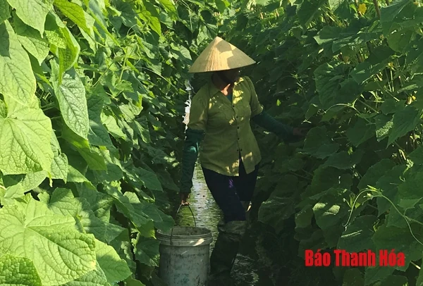 Lan tỏa phong trào “Dân vận khéo” ở huyện Nga Sơn