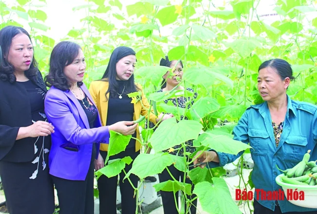 Chung tay chăm lo, bảo vệ phụ nữ và trẻ em