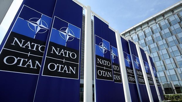 Thành viên NATO tập trận chỉ huy mô phỏng trên máy tính tại Gruzia