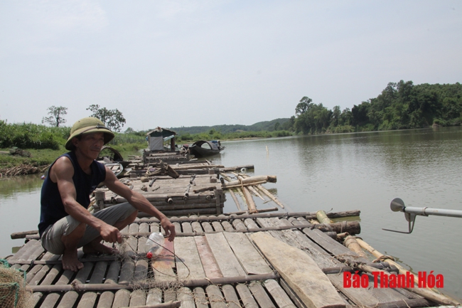 Huyện Thường Xuân phát triển nghề nuôi cá lồng trên sông và các lòng hồ thủy điện