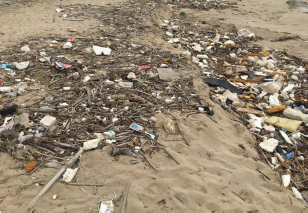 Cần sớm giải quyết triệt để tình trạng ô nhiễm môi trường do rác thải tại Khu du lịch biển Hải Tiến