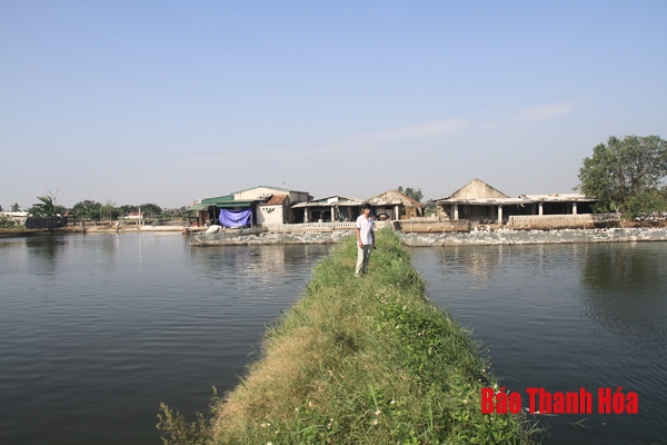 Nhiều nông dân huyện Hoằng Hóa giàu lên từ nuôi trồng thủy sản