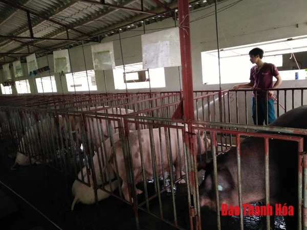 Tín dụng ưu đãi, đánh thức khát vọng khởi nghiệp của thanh niên