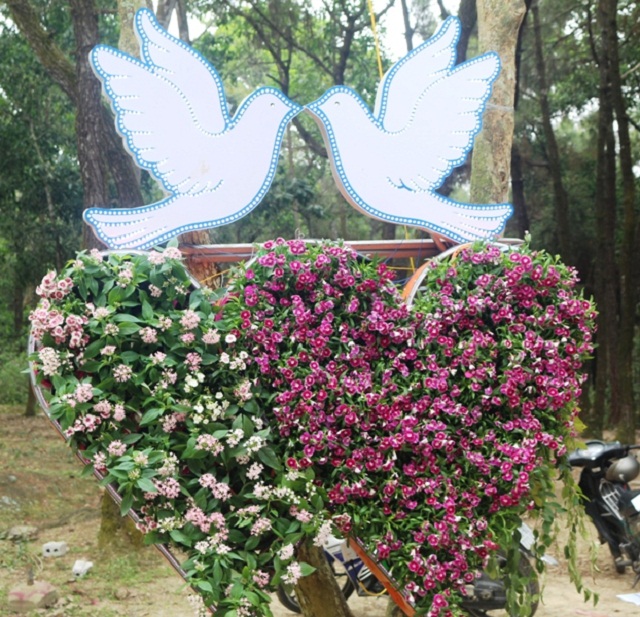 Rực rỡ đường hoa trước thềm Lễ hội “Tình yêu - Hòn Trống Mái”