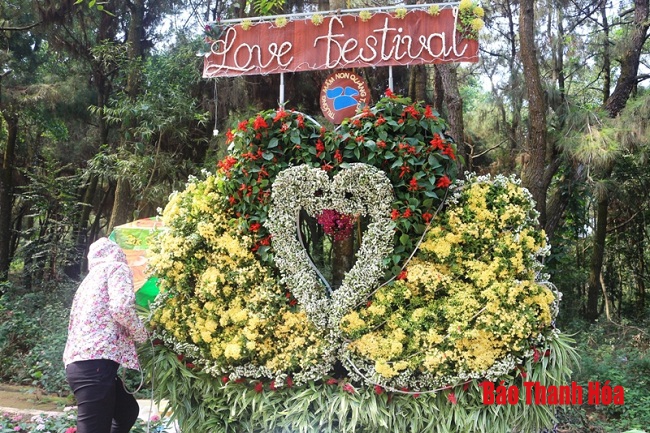 Rực rỡ đường hoa trước thềm Lễ hội “Tình yêu - Hòn Trống Mái”