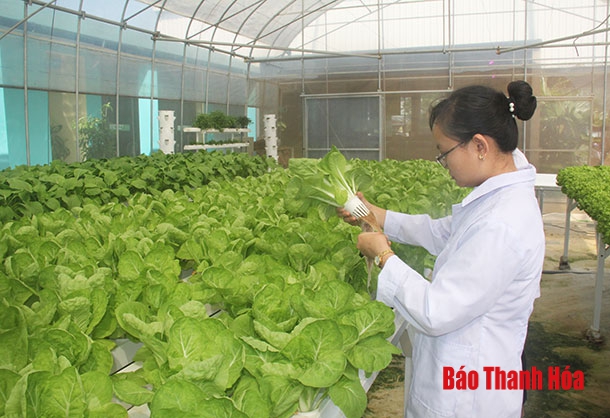 TP Thanh Hóa phát triển hệ thống cửa hàng thực phẩm an toàn