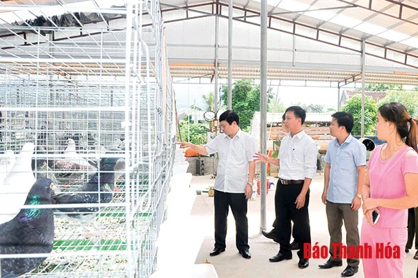 Bài 3: Gắn sắp xếp với thu gọn đầu mối, tinh giản biên chế, nâng cao chất lượng hoạt động