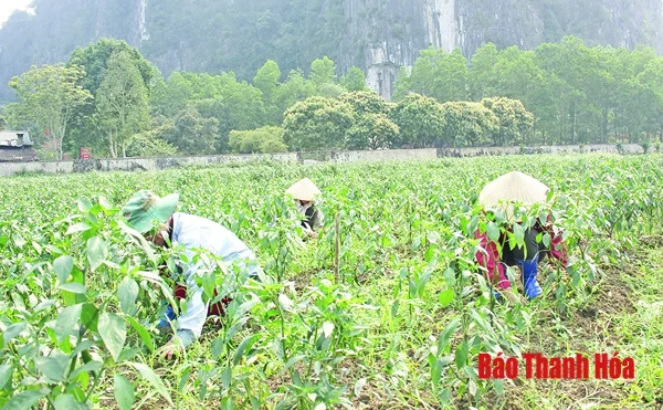 Lan tỏa việc thực hiện Chỉ thị 05 ở Ngọc Lặc