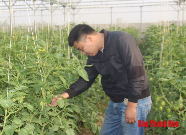 Huyện Đông Sơn: Nhiều chính sách phát triển sản xuất và xây dựng nông thôn mới