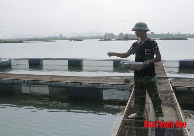 Hiệu quả kinh tế từ mô hình nuôi cá lồng ở xã Đông Vinh