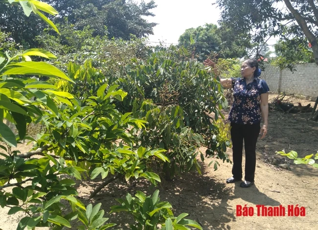 Agribank Nam Thanh Hóa tăng sản phẩm dịch vụ góp phần đẩy lùi “tín dụng đen”