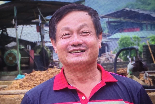 Cây cao, tỏa bóng rộng