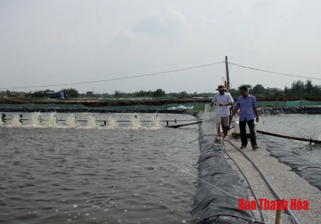 600 hộ tham gia chuỗi liên kết trong nuôi trồng thủy sản