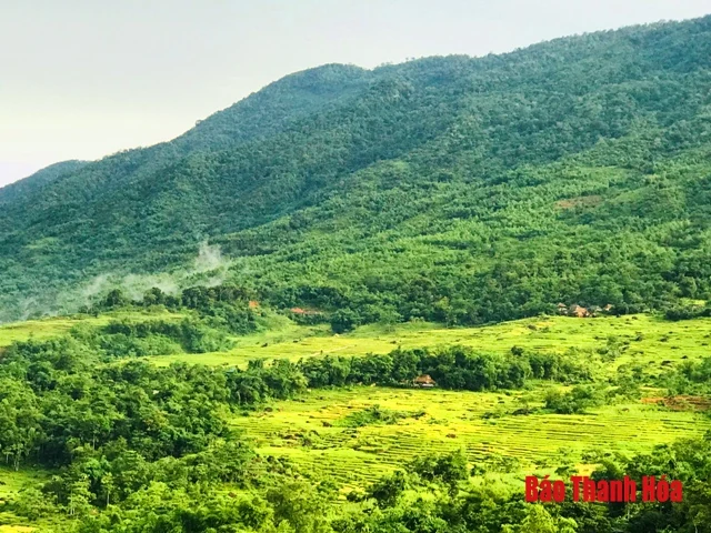 Mùa vàng Pù Luông