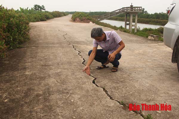 Xuất hiện những vết nứt dài hàng trăm mét trên đê hữu sông Càn qua huyện Nga Sơn