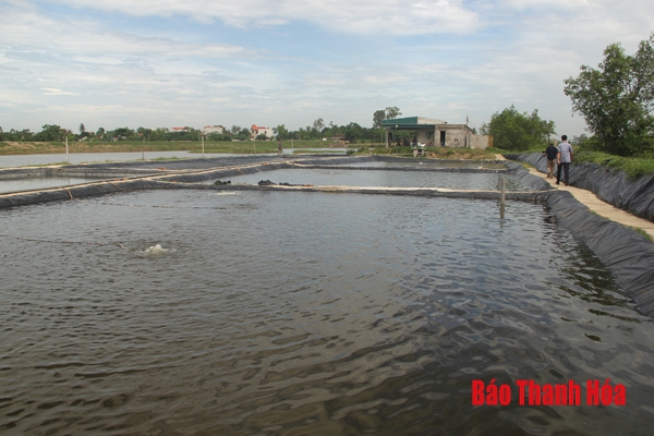 Biến bãi lầy ven sông Cung thành những mô hình kinh tế hiệu quả