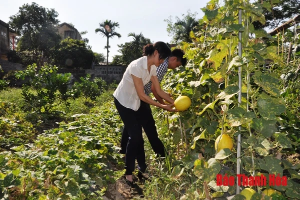 Các cấp hội nông dân tăng cường công tác kiểm tra, giám sát