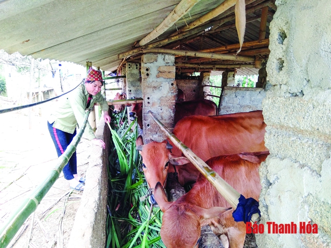 Huyện Tĩnh Gia tăng cường sự lãnh đạo của Đảng đối với tín dụng chính sách xã hội