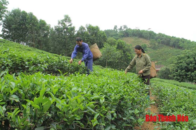 Gỡ khó trong phát triển đảng viên ở các xã miền núi huyện Triệu Sơn