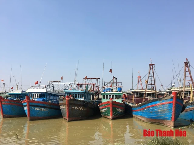 Huyện Tĩnh Gia: Sẵn sàng ứng phó với bão số 4