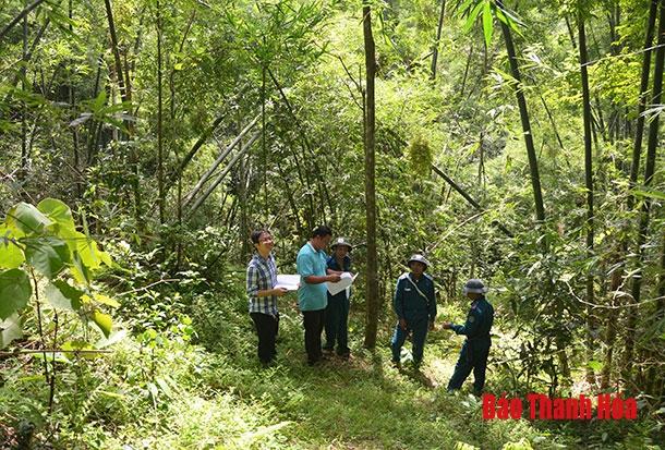 Huyện Quan Sơn: Thực hiện các biện pháp bảo vệ rừng