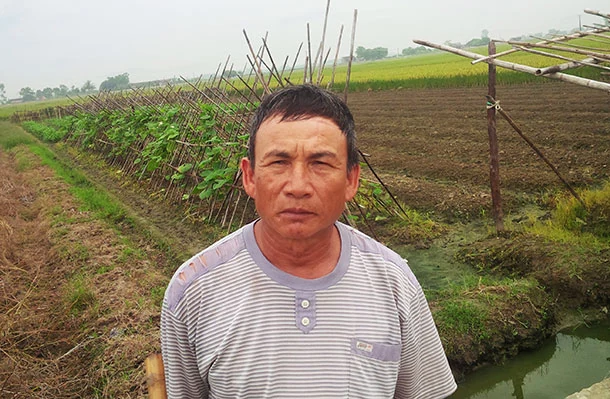 Nhân rộng mô hình phát triển sản xuất trong xây dựng nông thôn mới