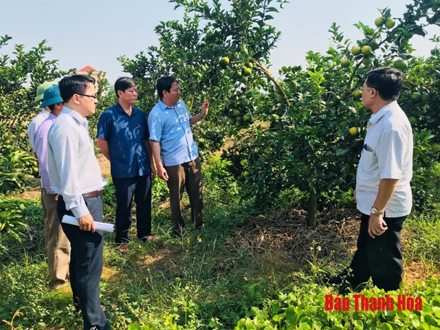 Kiểm tra công tác quản lý nhà nước về an toàn thực phẩm trên địa bàn huyện Yên Định