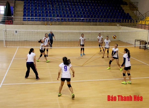 Đội bóng chuyền nữ Tiến Nông Thanh Hóa và những khó khăn trong cuộc đua trụ hạng