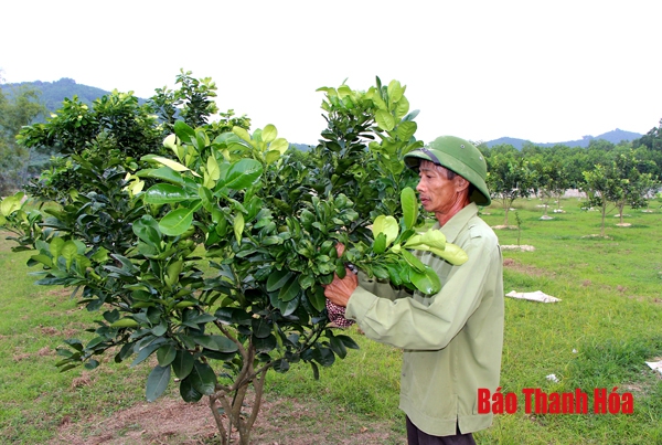 Huyện Như Thanh thực hiện có hiệu quả các chính sách dân tộc