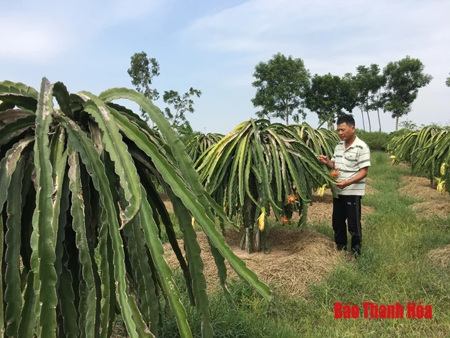 Khoảng trống về bảo hiểm xã hội ở HTX