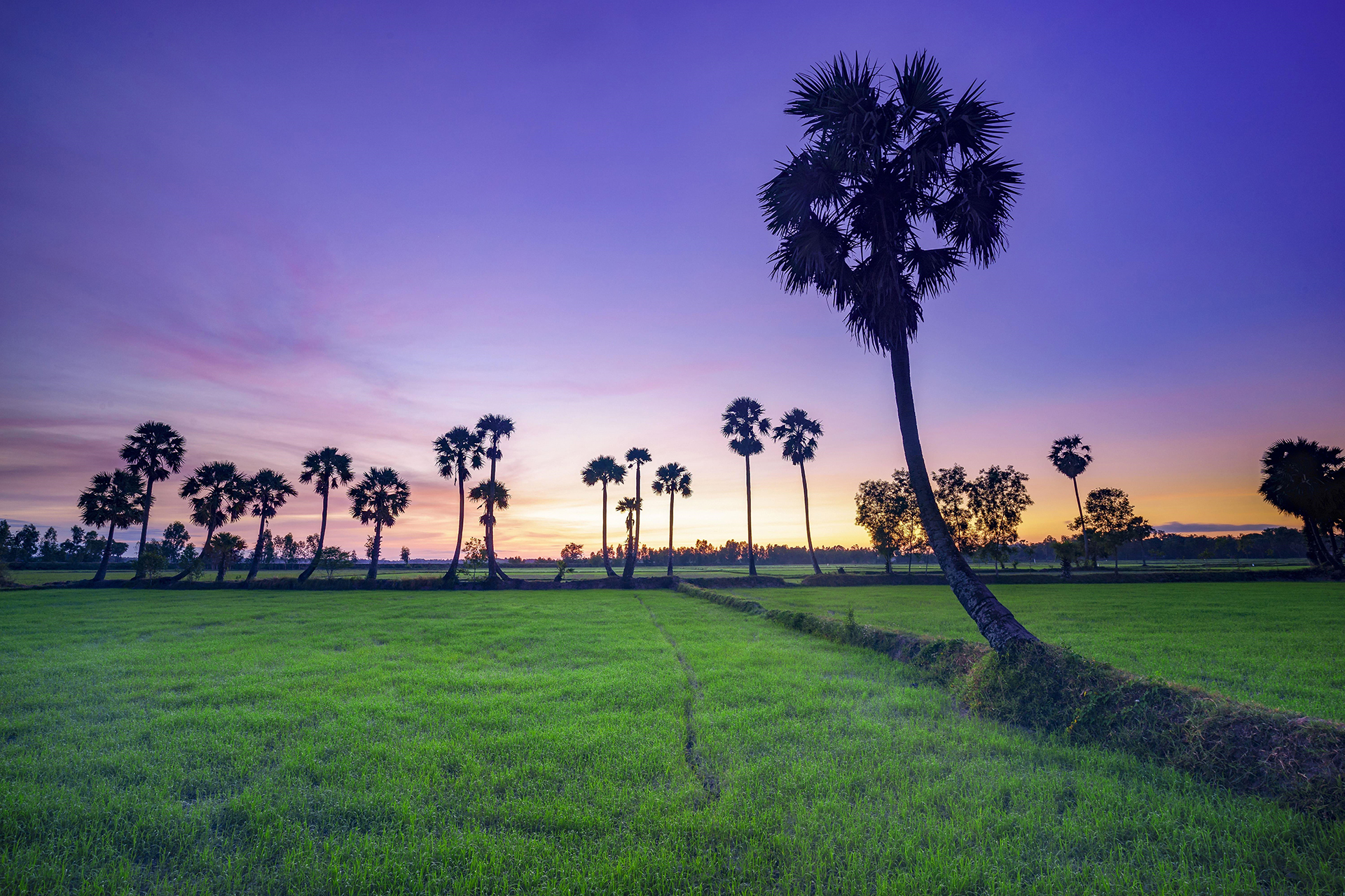 Miền Tây thương mến…