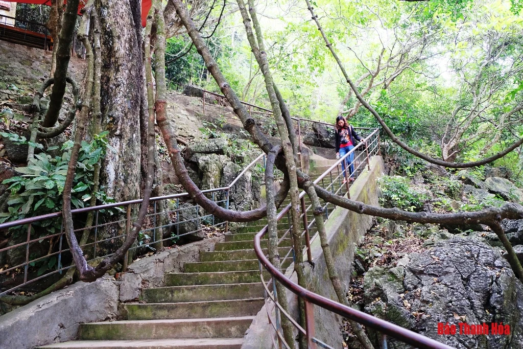 Nơi chàng Từ Thức gặp tiên