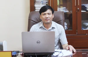 Phát triển sản xuất, kinh doanh tre, luồng bền vững
