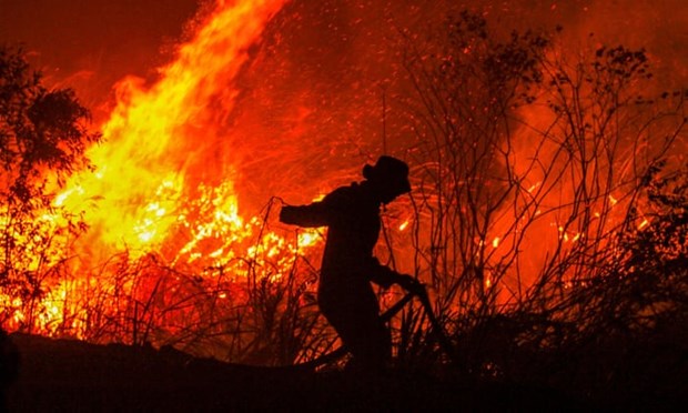 Indonesia buộc các công ty gây cháy rừng bồi thường 22,5 tỷ USD